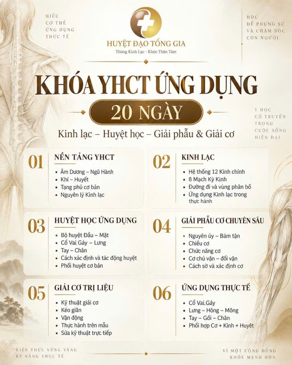 Khóa YHCT ứng dụng 20 ngày Huyệt Đạo Tống Gia: 6 phần kinh lạc, huyệt học, giải phẫu cơ, giải cơ trị liệu